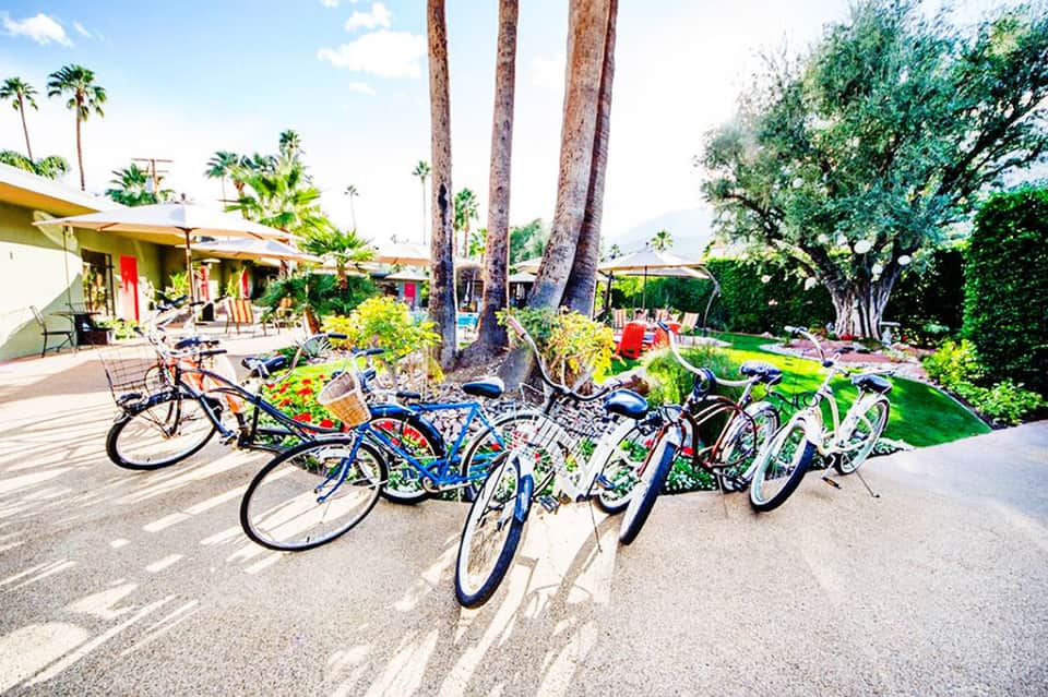 Colorful bicycles parked under tall palm trees in a sunny resort courtyard with lush green landscaping