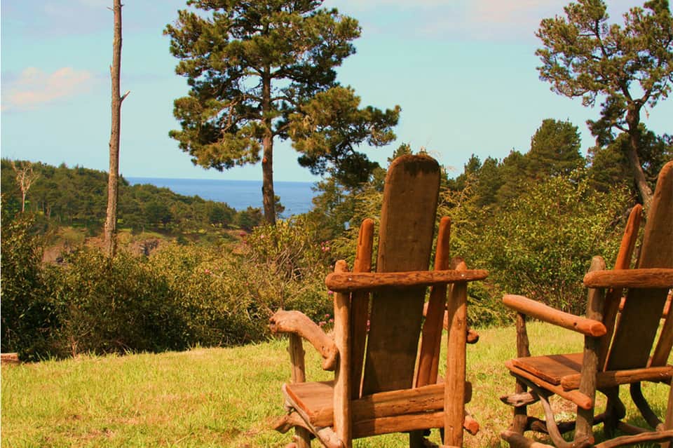Wooden Adirondack chairs on grassy overlook with pine forest, ocean view, and clear blue sky