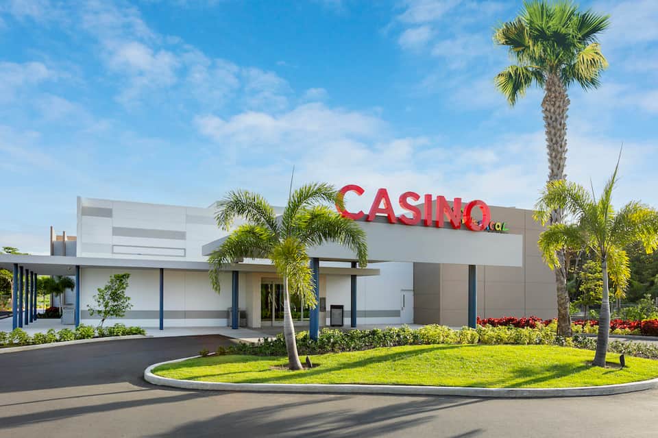 Modern casino building exterior with white walls, palm trees, and manicured landscaping