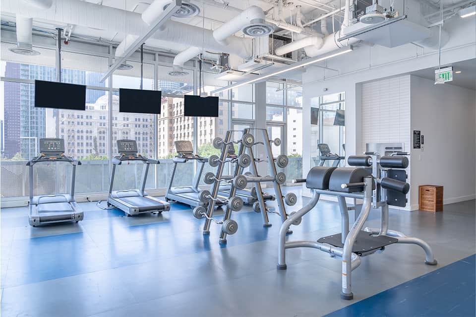 Gym with treadmills, weight equipment, large windows overlooking city skyline