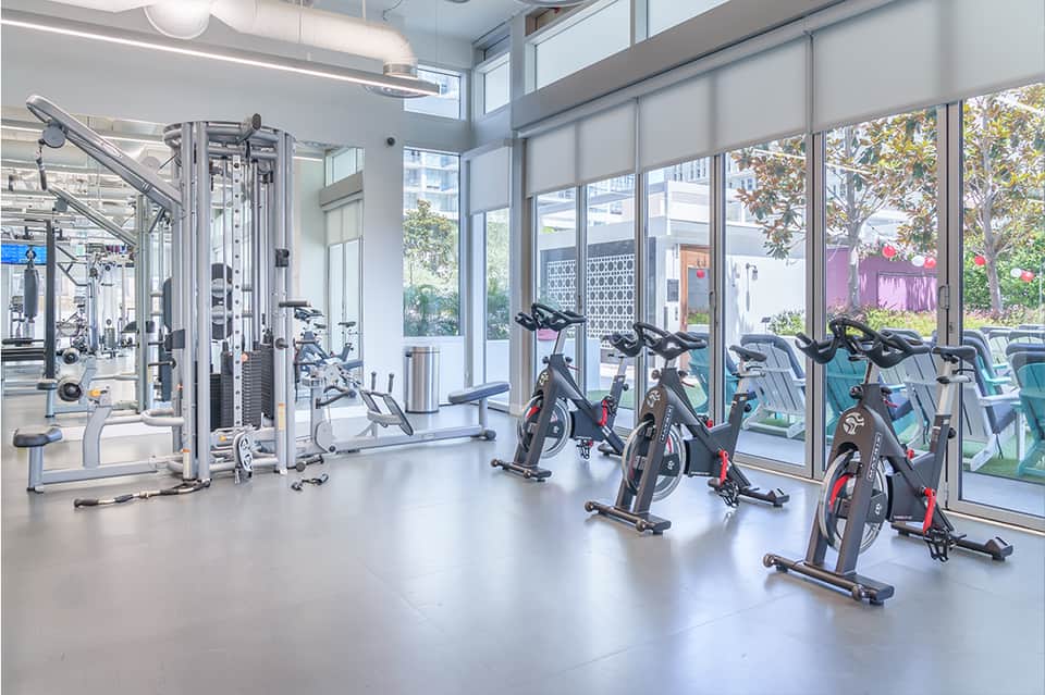 Modern fitness center with exercise bikes, weight machines, and floor-to-ceiling windows