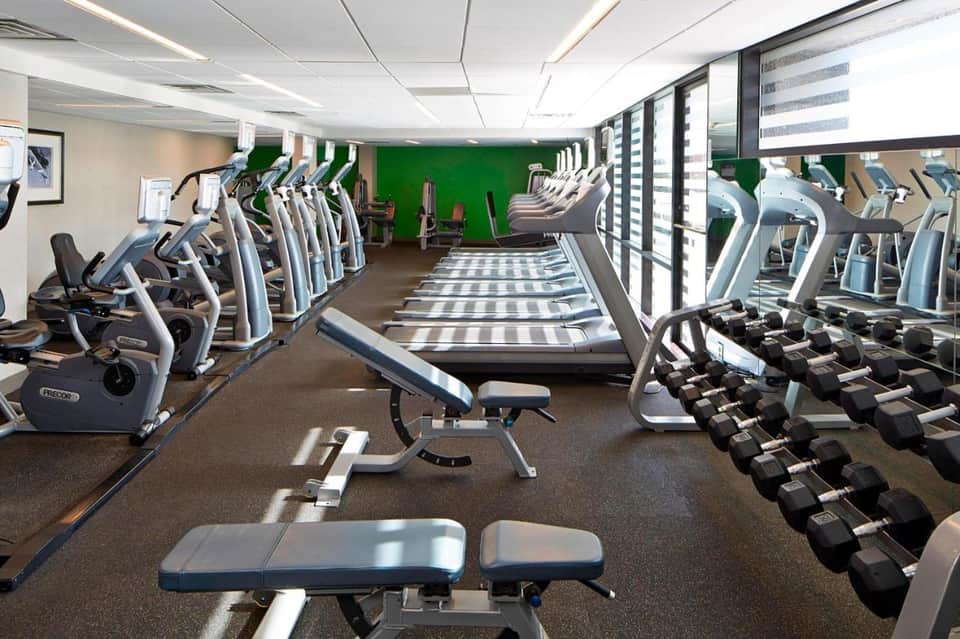 Bright fitness center with rows of treadmills, stationary bikes, dumbbells, and large windows