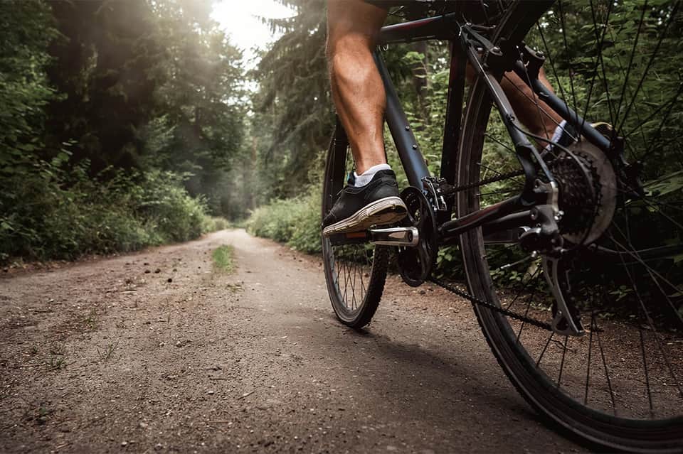 Mountain biker on forest trail with sunlight filtering through dense green trees