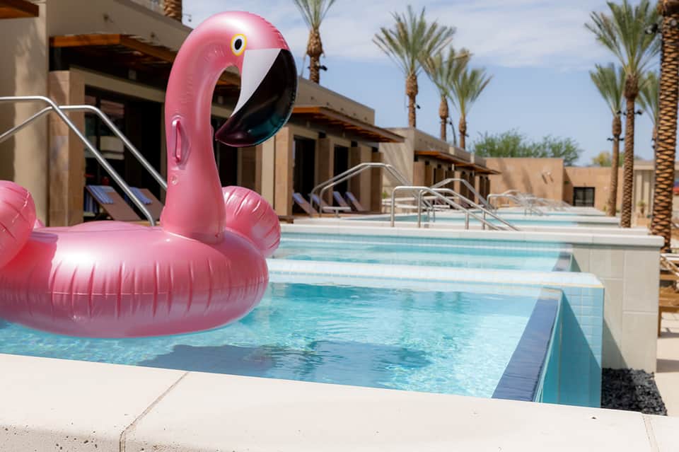 Pink flamingo pool float in resort swimming pool with palm trees and modern buildings