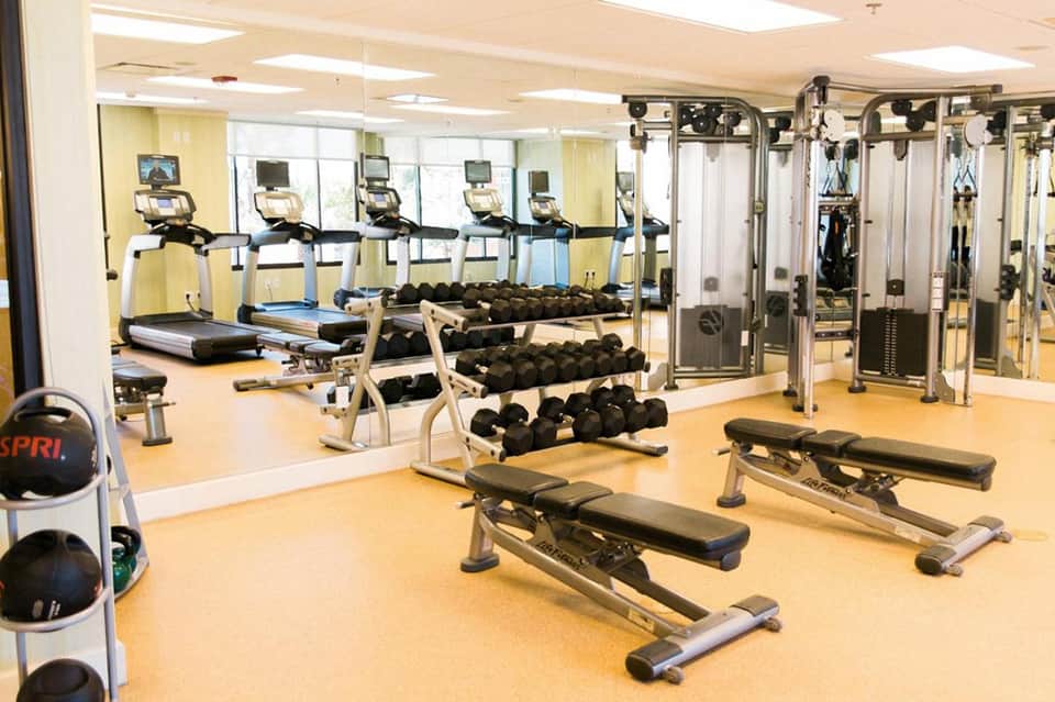 Modern gym with treadmills, dumbbells, weight machines, mirrors, and bright yellow flooring with windows