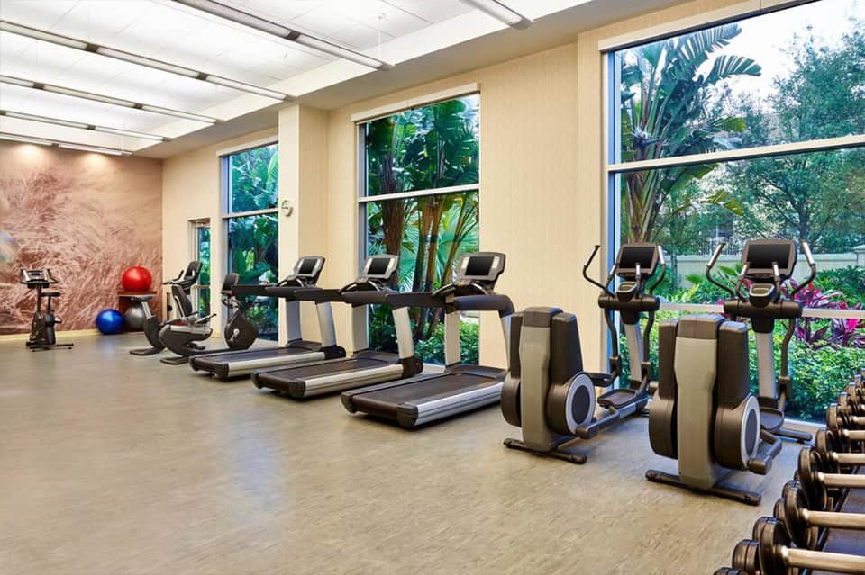 Fitness center with cardio equipment, large windows showing lush greenery, and modern gym setup