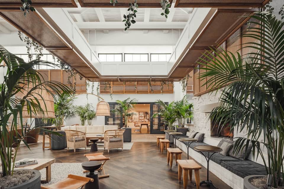 Luxury spa lobby with skylights, hanging plants, wooden accents, and modern seating areas