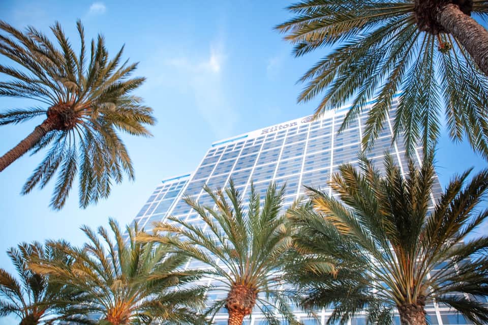 Modern high-rise hotel tower framed by palm trees against clear blue sky