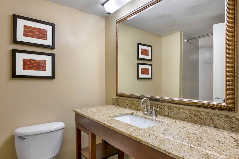 Hotel bathroom with granite countertop, white sink, large mirror with gold frame, and framed artwork