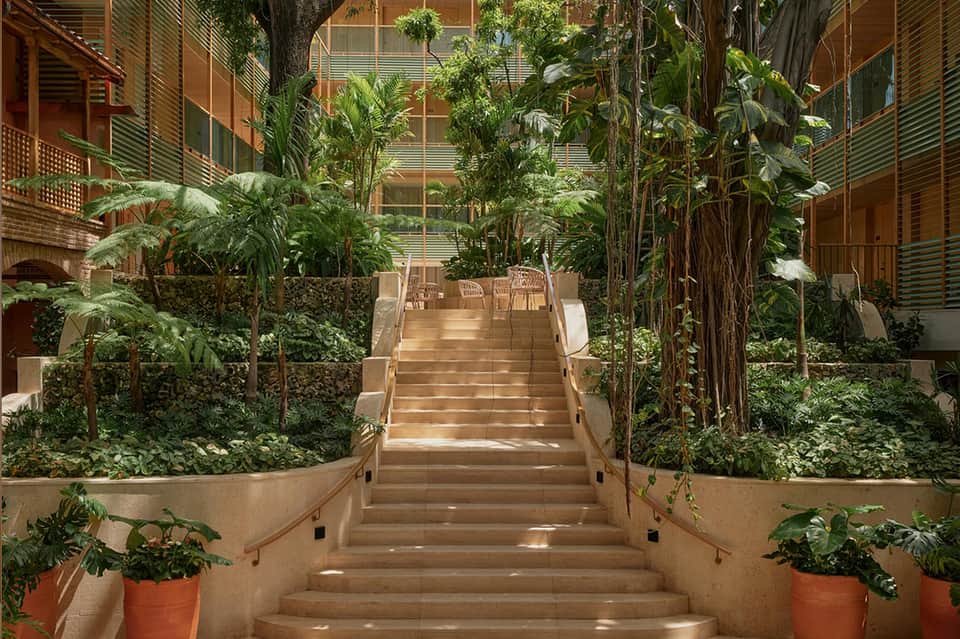 Lush tropical courtyard atrium with tall trees, wooden stairs, and louvered wooden architectural elements