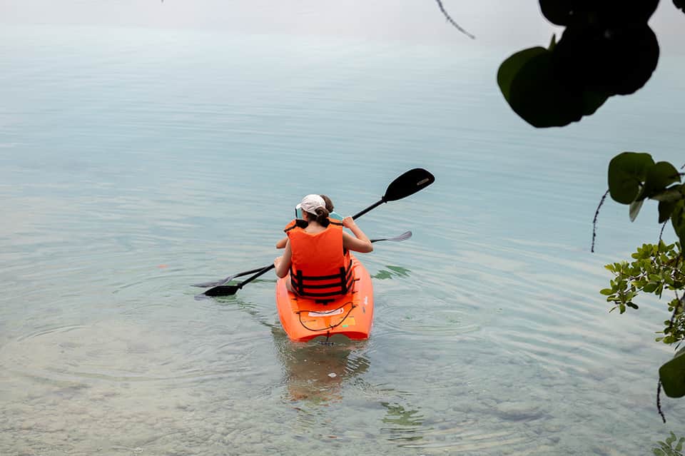 Person kayaking in clear turquoise water in orange kayak near mangrove vegetation