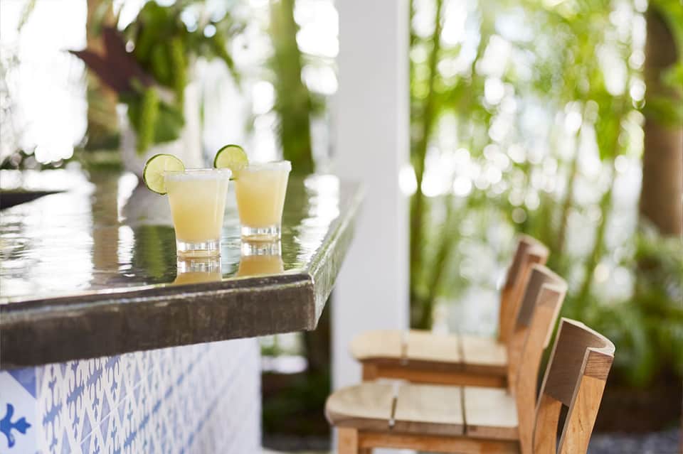 Tropical bar counter with fresh lime cocktails and lush green foliage backdrop