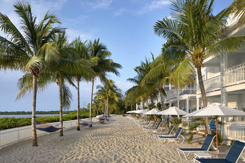 Beachfront promenade with palm trees, white umbrellas, lounge chairs, and waterfront buildings