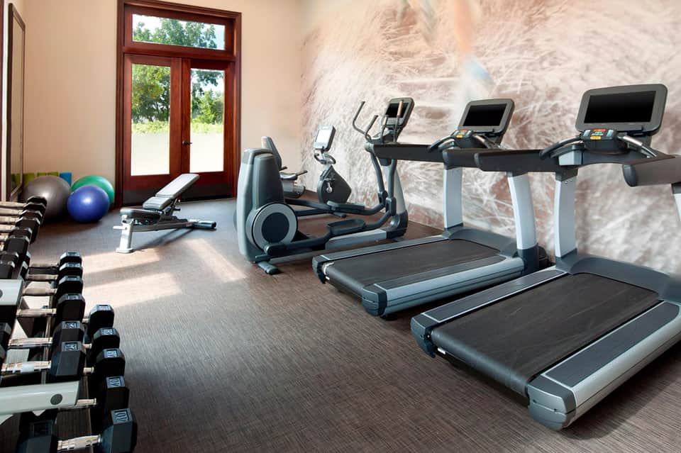 Modern fitness center with treadmills, exercise bikes, dumbbells, and natural lighting