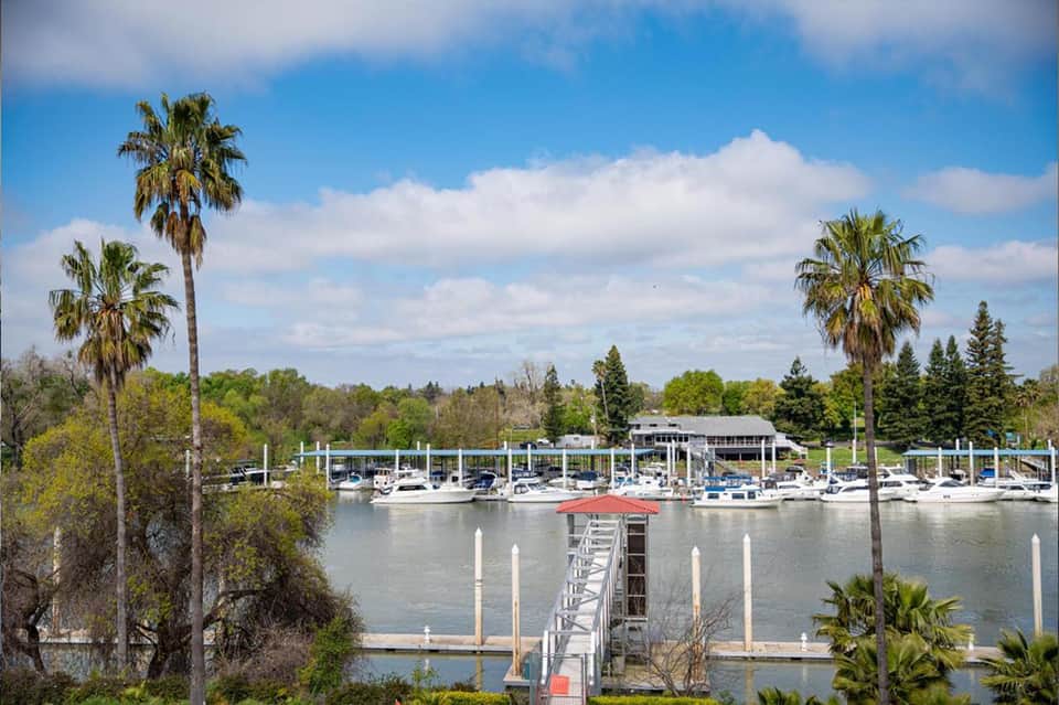 Marina with boats docked, palm trees, and waterfront restaurant pavilion