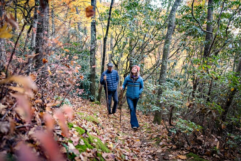 Two hikers on forest trail surrounded by autumn foliage and tall trees