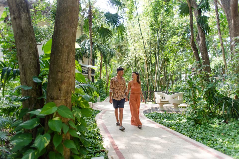 Couple walking on jungle pathway surrounded by tall trees and lush green tropical vegetation