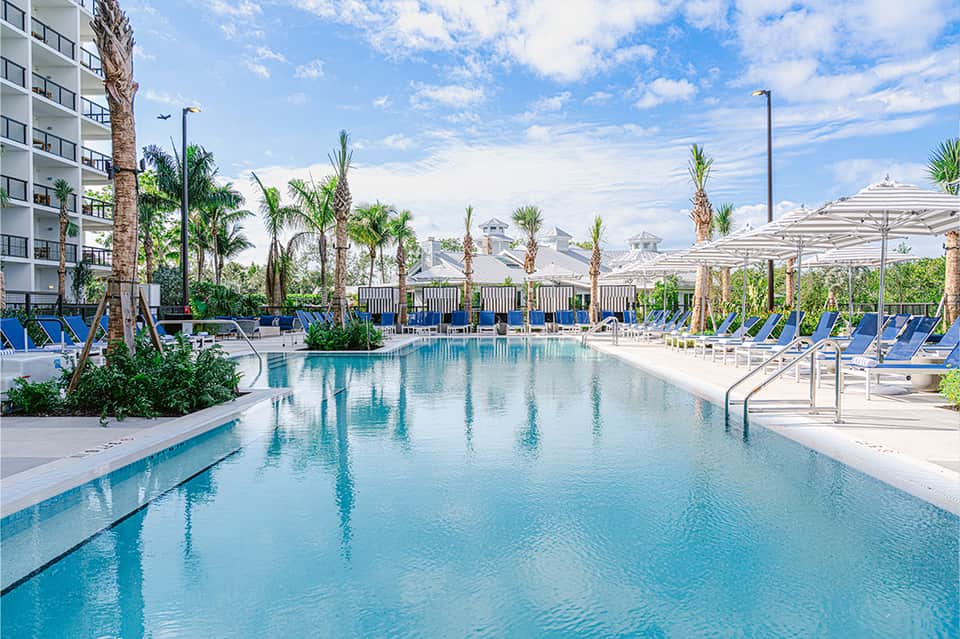 Large modern hotel pool with blue lounge chairs, palm trees, and white umbrellas