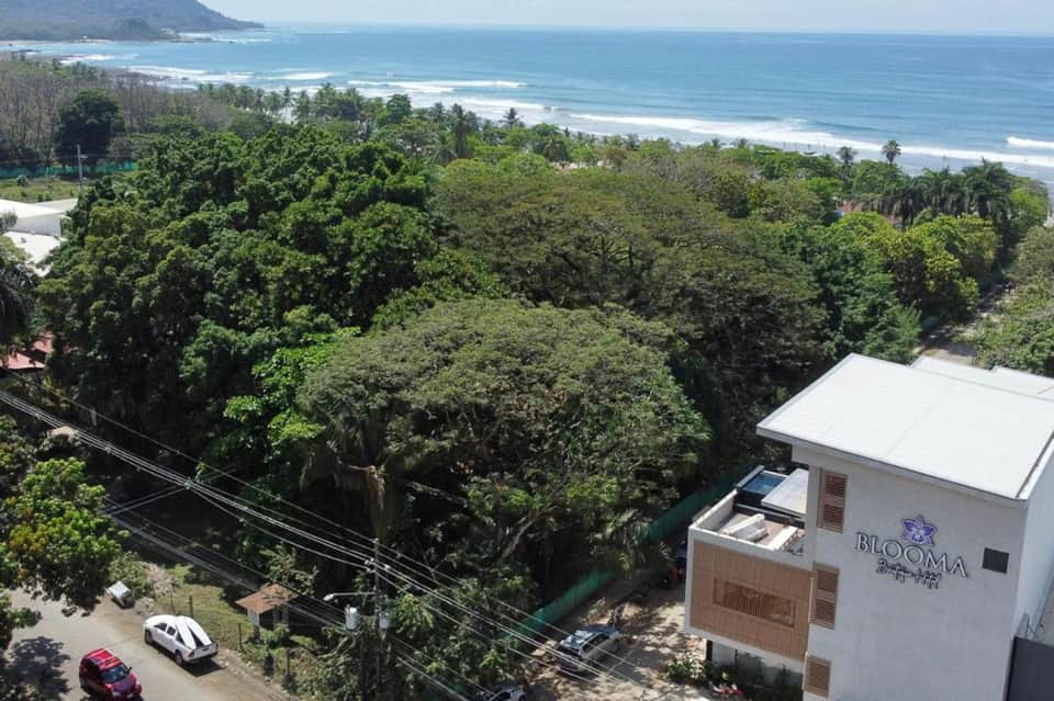 Beachfront resort exterior overlooking ocean and sandy beach surrounded by dense tropical forest