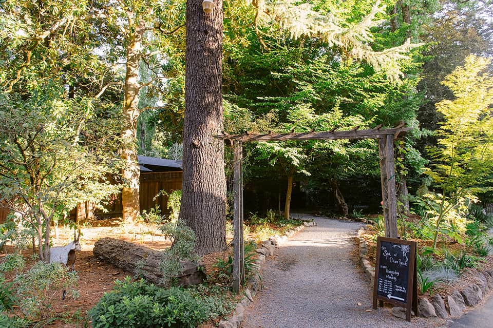 Forest path entrance with wooden pergola archway, tall trees, and scenic woodland trail ahead