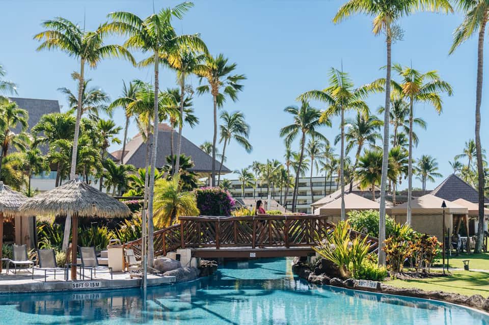 Resort pool with wooden bridge, palm trees, and thatched-roof structures