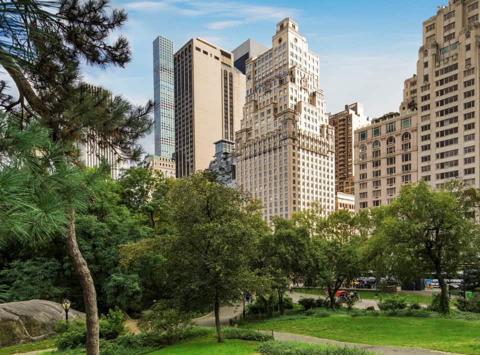 Urban park with green trees and grass surrounded by tall city buildings and skyscrapers