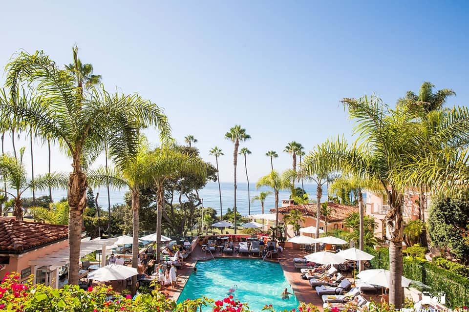 Aerial view of resort pool surrounded by palm trees, white umbrellas, lounge chairs, and ocean view in background