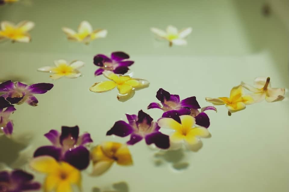 Purple and yellow orchid flowers floating in water with shallow depth of field