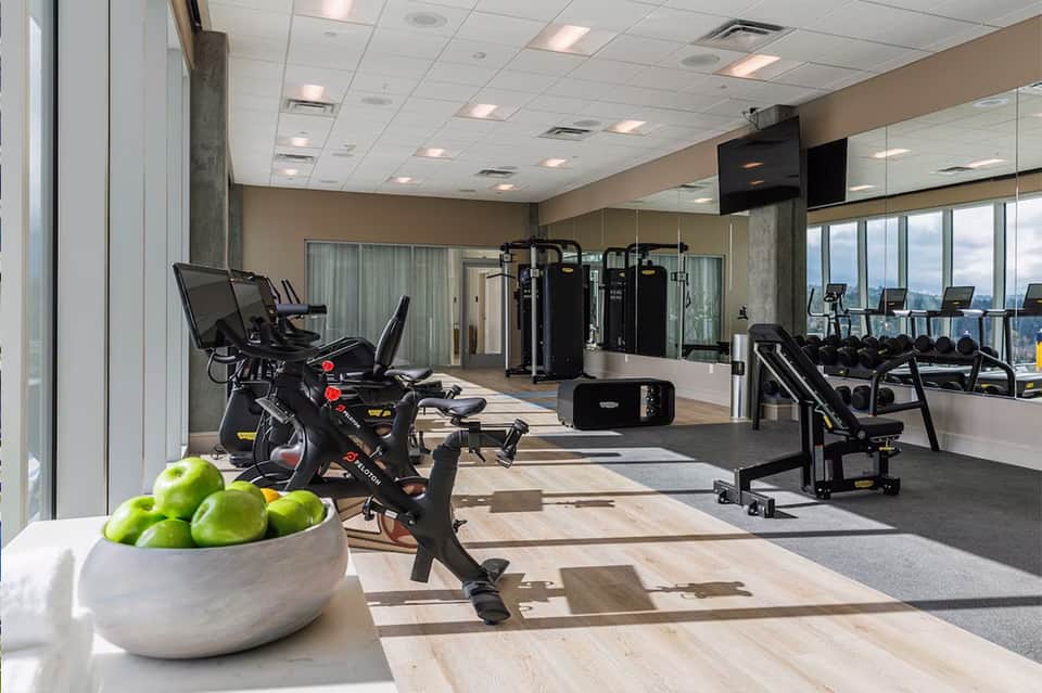 Bright gym with stationary bikes, weight machines, dumbbells, and panoramic city views