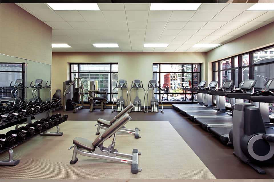 Bright gym interior with treadmills, exercise bikes, free weights, and floor-to-ceiling windows