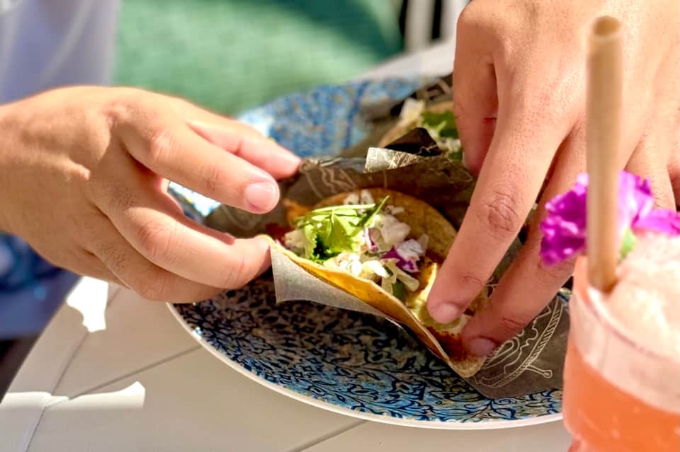 Close-up of hands holding a delicious wrap with colorful vegetables and purple flower garnish
