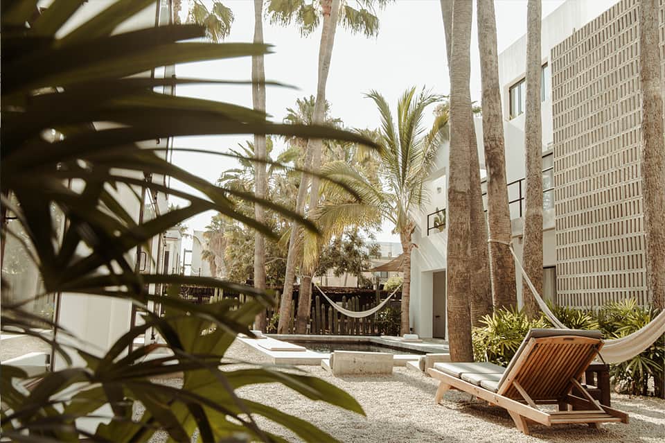 Tropical courtyard with palm trees, hammock, wooden lounge chair, and modern white buildings