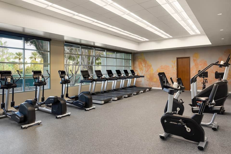 Modern fitness center with rows of treadmills, exercise bikes, and large windows overlooking palm trees