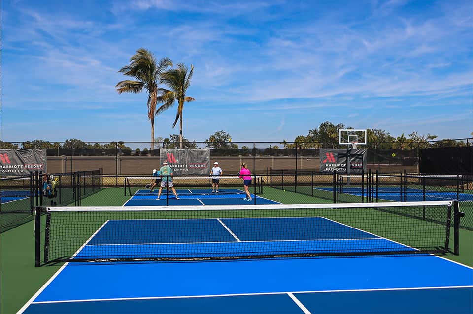 Outdoor pickleball courts with players, palm trees, and clear blue sky
