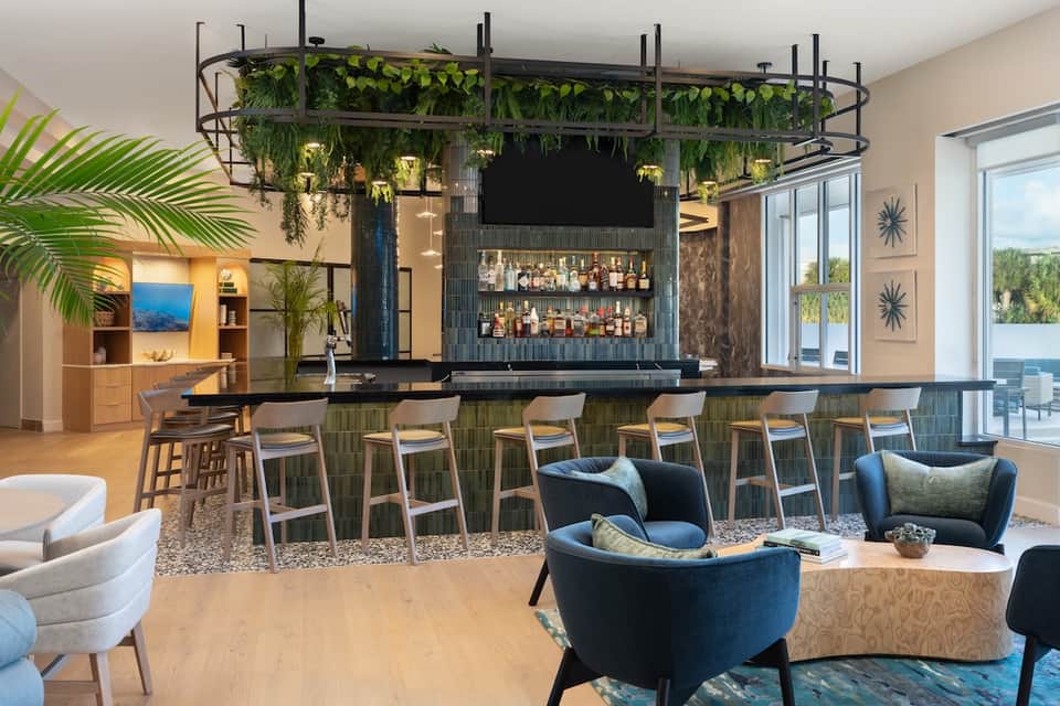 Contemporary bar lounge with hanging plants, black bar with bottle display, and blue seating