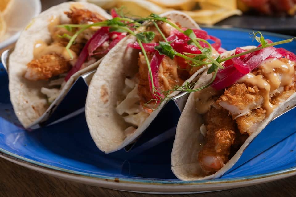 Three tacos with fried fish, purple cabbage slaw, and creamy sauce on blue plate