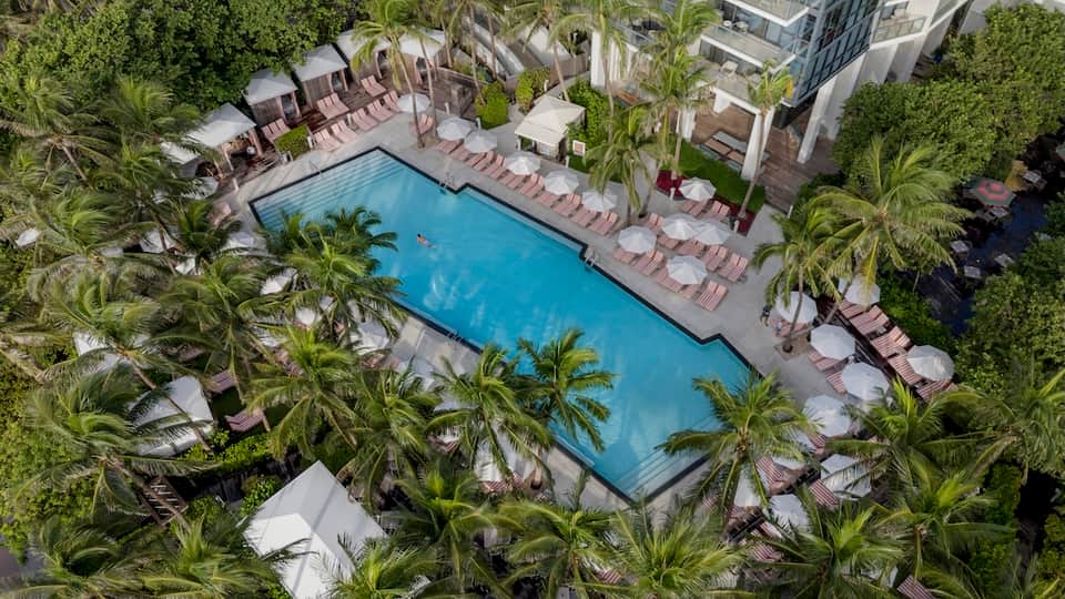 Aerial view of resort pool surrounded by palm trees, lounge chairs, and umbrellas