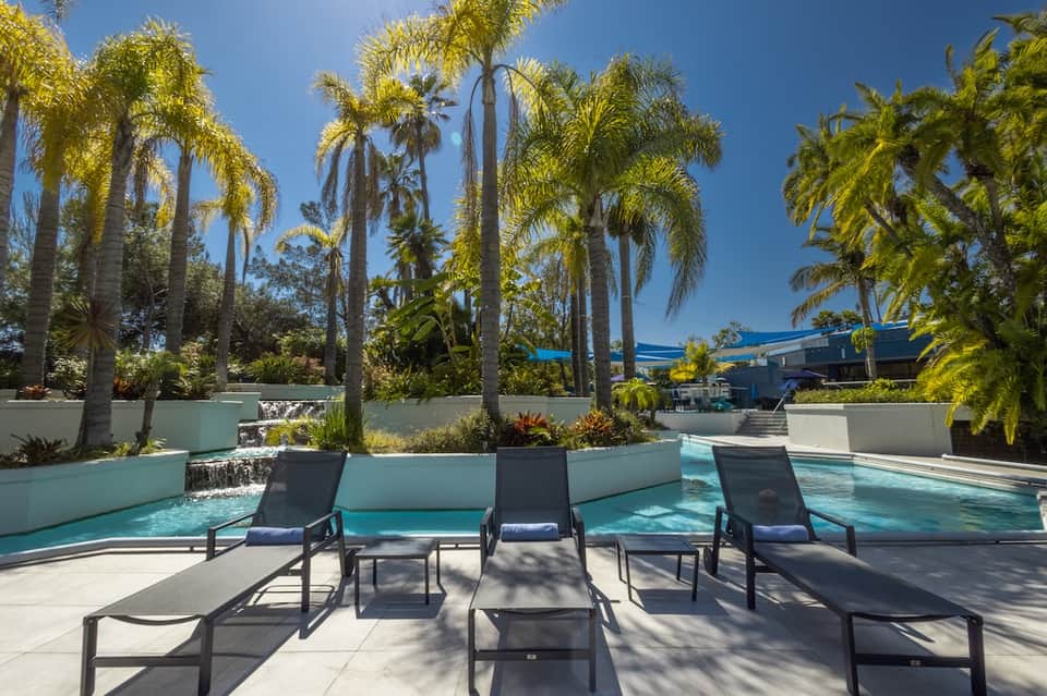 Contemporary pool area with tall palm trees, blue water, and lounge chairs