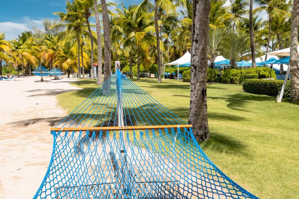 Blue hammock strung between palm trees on sandy beach with lounge chairs and umbrellas in background