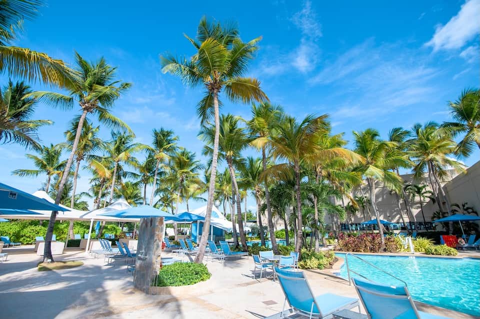 Large resort pool with multiple blue umbrellas, palm trees, and modern hotel building in background