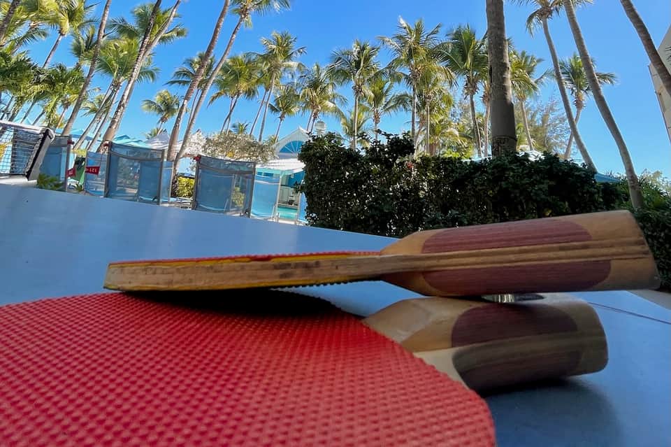 Beachfront resort pool with paddle boards displayed, palm trees, and tiki-style buildings in background