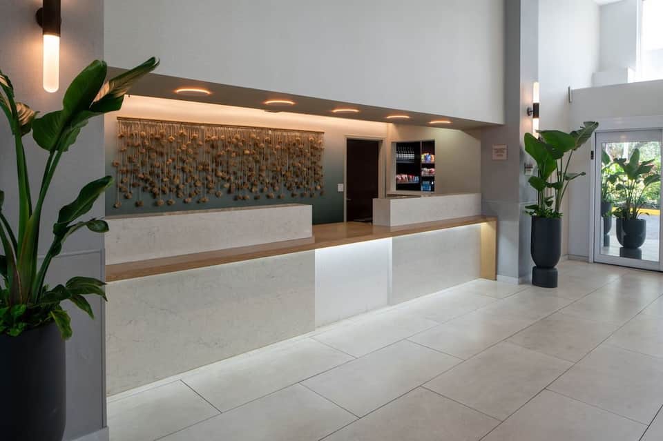 Hotel reception desk with modern design, decorative wall art, and potted plants
