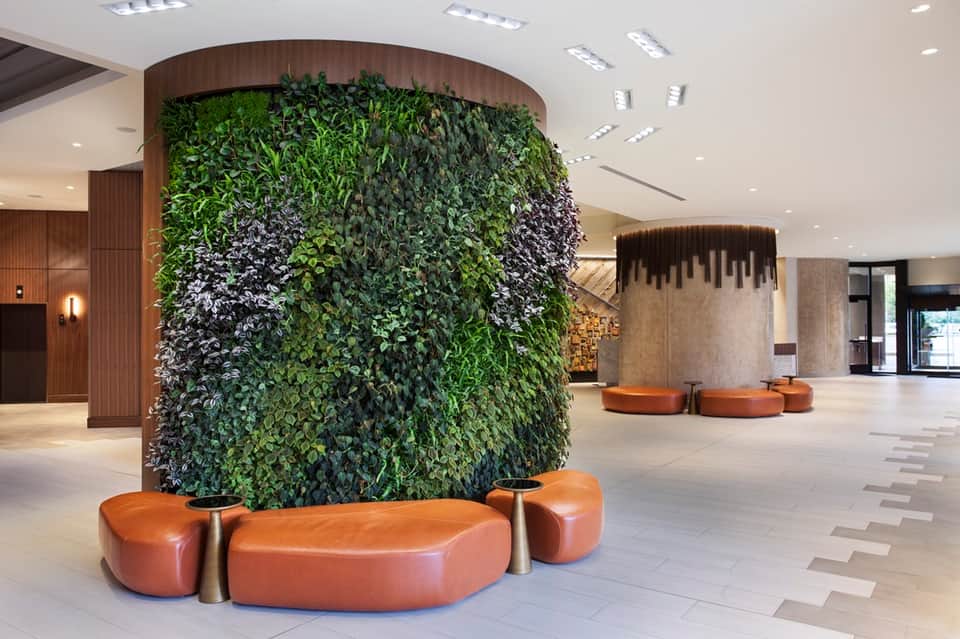 Modern hotel lobby with living plant wall installation and curved seating areas