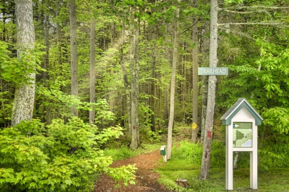 Forest hiking trail with white trailhead marker sign surrounded by tall trees and green foliage
