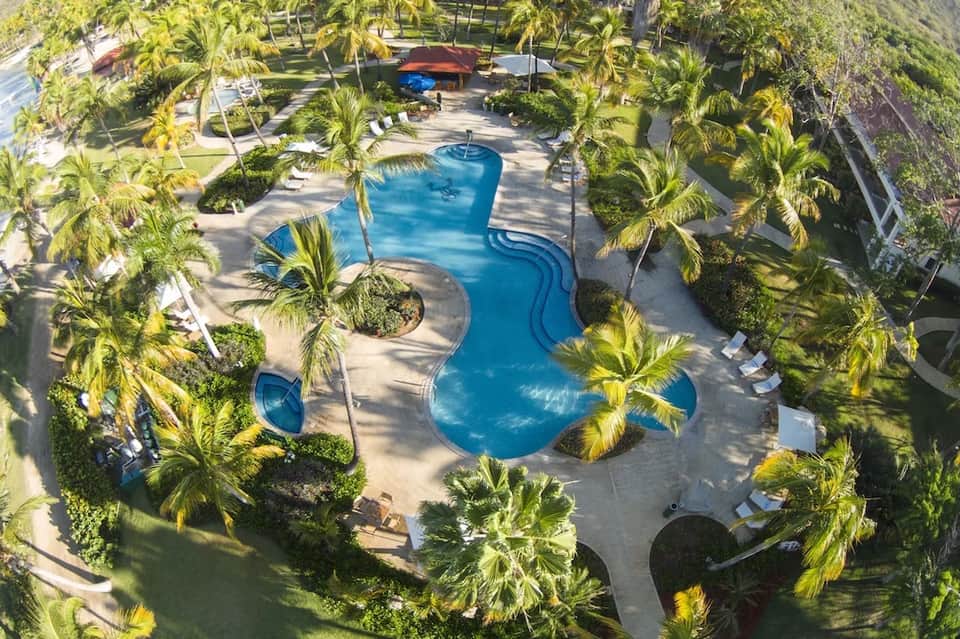 Overhead view of curved resort pool surrounded by palm trees and seating areas