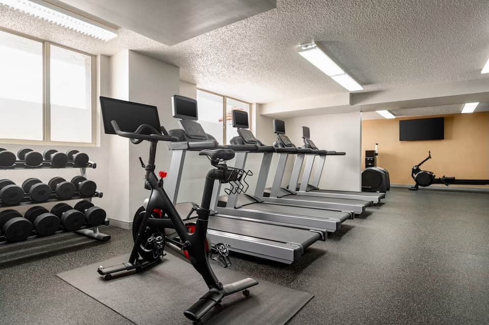 Modern gym interior with stationary bikes, treadmills, dumbbells, and fitness equipment