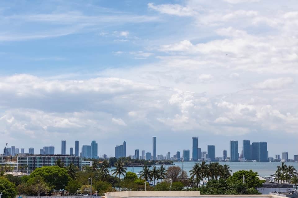 Miami skyline view across water with palm trees and beachfront buildings in foreground
