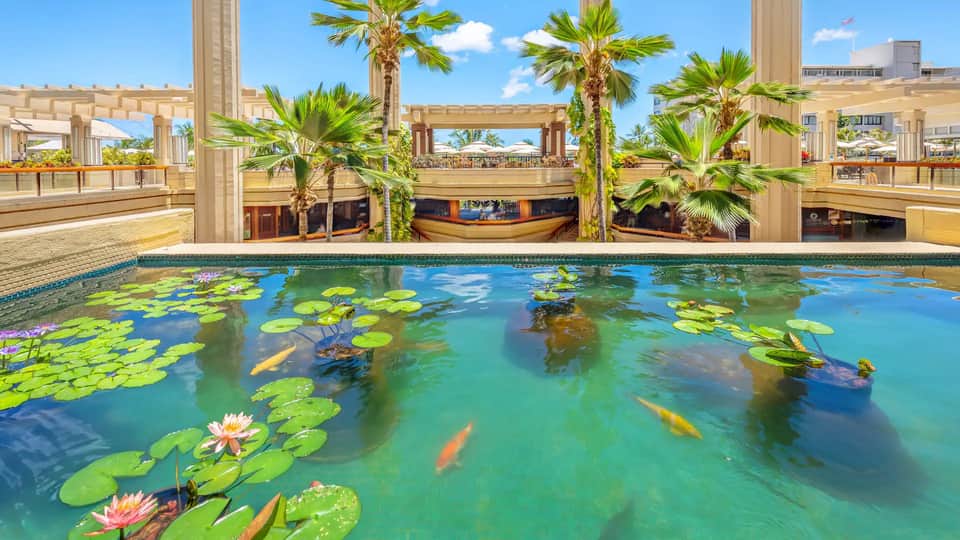 Indoor thermal pool with lily pads, koi fish, palm trees, and wooden pergola structure overhead