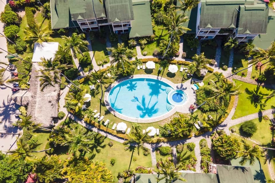 Overhead view of resort pool surrounded by palm trees and white lounge chairs