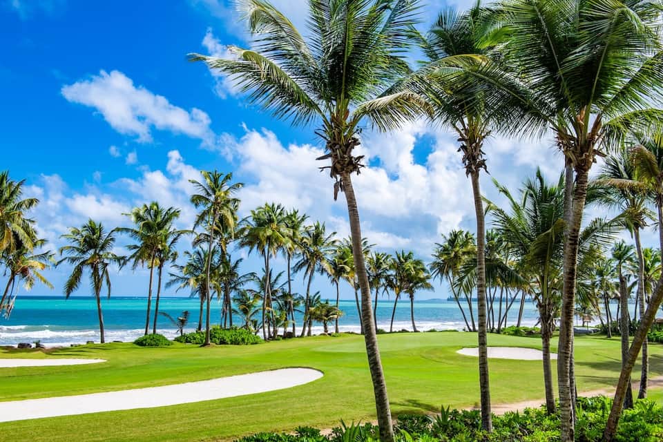 Beachfront golf course with palm trees and turquoise ocean backdrop